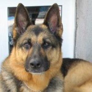 Meet your Posher, Martine